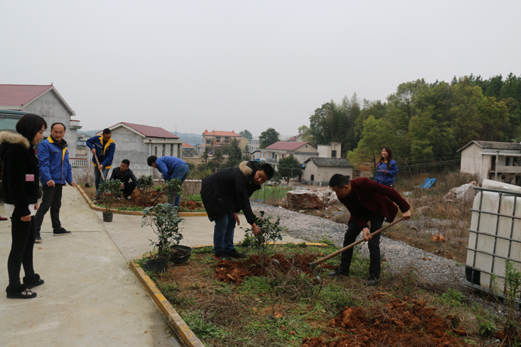 益婁14標(biāo)學(xué)雷鋒義務(wù)植樹活動(dòng)