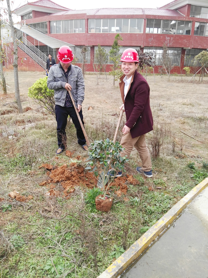 種一棵小樹，綠一方凈土